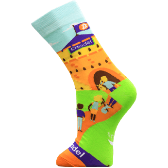 Image of Bitcoin Citadel sock